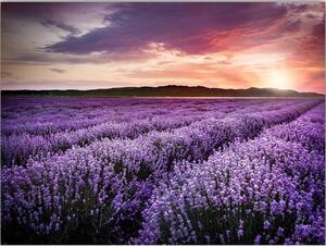 Живопис 100x70 cm Lavender Field - Wallity