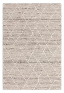 Светлосив вълнен килим 200x290 cm Noah - Asiatic Carpets