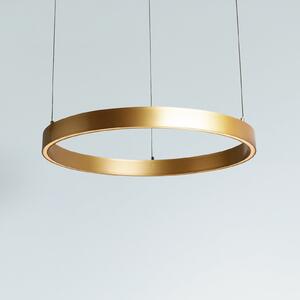 Searchlight LED висяща лампа Layla, златиста, Ø 64 см CCT, с регулируема височина, Затъмняване, Злато / месинг, Дневна/трапезария, Метал, Модерен