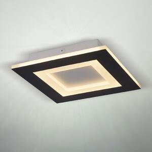 Searchlight LED таванна лампа Squary, дължина 39 см, черно-бяло желязо, CCT, Затъмняване, Черен, Дневна/трапезария, Метал, Модерен
