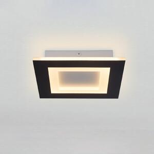 Searchlight LED таванна лампа Squary, дължина 25 см, черно-бяло желязо, CCT, Затъмняване, Черен, Дневна/трапезария, Метал, Модерен