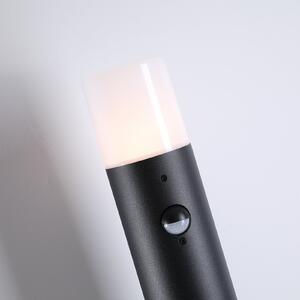 Searchlight Осветление за пътеки „Кан“, височина 80 см, черно, метал, сензор, Черен, Алуминий, Модерен