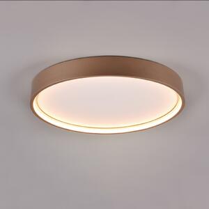 Trio Lighting LED осветление за таван Doha, CCT, цвят кафе, Кафяв / ръждив, Дневна/трапезария, Метал, Кръгла стена