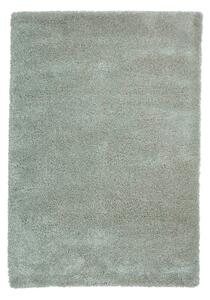 Светлозелен килим 120x170 cm Sierra – Think Rugs