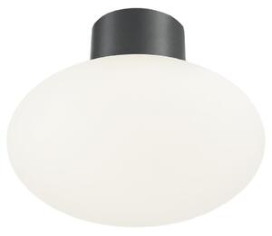 Ideal Lux - Външно таванно осветително тяло CLIO 1xE27/42W/230V IP44 антрацит