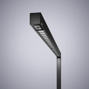 Waldmann LED стояща лампа Straight.single, черна, 3000K, със сензор, 205 см, Затъмняване, Черен, кабинет / офис, Алуминий, Модерен