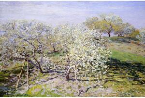 Репродукция на картина на Клод Моне - , 90 x 60 cm Spring - Fedkolor