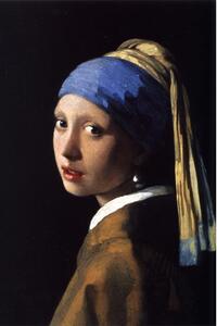 Репродукция на картина 50x70 cm Girl with a Pearl Earring - Fedkolor