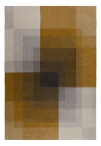 Сив и жълт килим , 160 x 230 cm Plaza - Flair Rugs