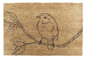 Изтривалка от кокосови влакна 40x60 cm Pencil Robin – Artsy Doormats