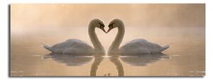 Изображението върху платно Swan Love, 90 x 30 cm - Wallity