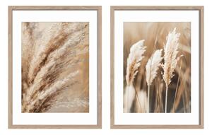 Картини в комплект от 2 бр. 30x40 cm Selloana – Styler