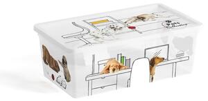 Бяла пластмасова кутия за съхранение с капак 34x19x12 cm C Box Style – KIS