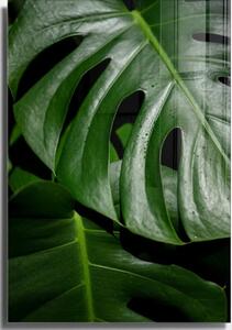 Картина върху стъкло 50x70 cm Monstera - Wallity