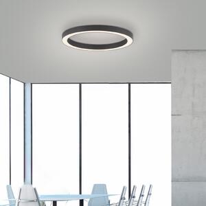 PURE LED таванска лампа Lines, Ø 50 cm, антрацит, CCT, дистанционно управление, Затъмняване, Черен, Дневна/трапезария, Метал, Модерен