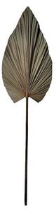 Декоративно растение Leafen Boho Pako World Natural 35x60x130 cm