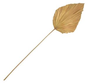 Декорация от листа Walsy Natural H135 cm