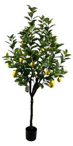 Декоративно растение Lemon tree Зелен 180x180x180 см