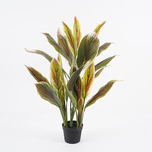 Декоративно саксийно растение Cycas Green 55x55x80 cm