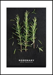 Плакат в рамка 50x70 cm Rosemary - Styler