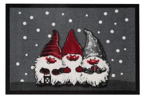 Изтривалка за врата Cristmas Dwarfes, 40 x 60 cm Christmas Dwarfes - Hanse Home