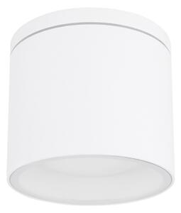 Globo 32063W - Екстериорна лампа за таван ALCALA 1xGX53/11W/230V IP44
