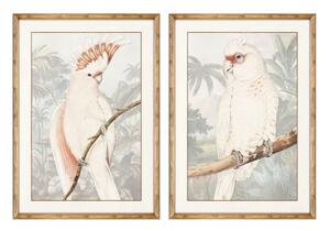 Картина DKD Home Decor Папагал (50 x 2 x 70 cm) (2 pcs)