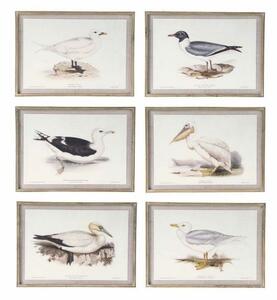 Картина DKD Home Decor Птици (70 x 2,5 x 50 cm) (6 броя)