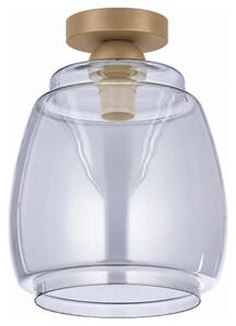 BRILAGI - LED таванно осветително тяло R GLASS 1xE27/60W/230V Ø 26 см бежово/димносиво
