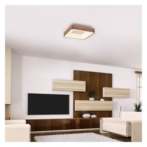 Rabalux 5056 - LED Плафониера CARMELA LED/30W/230V