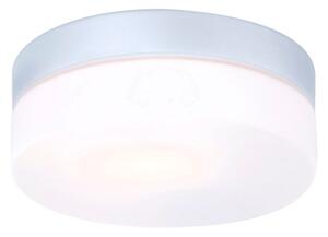 Globo 32111 - Лампа за баня VRANOS 1xE27/60W/230V IP44