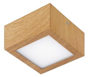 Eglo 95195 - LED Лампа за таван COLEGIO 1xLED/4,2W/230V