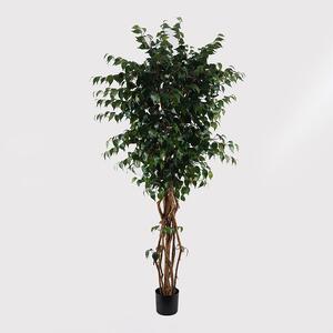Декоративно растение Banyan Green 95x95x180 cm