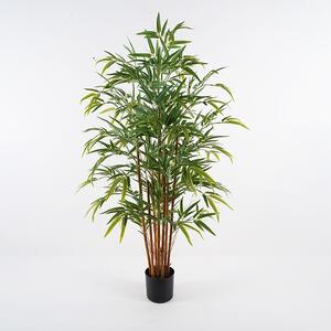 Декоративно растение Rhapis Palm Green 60x60x120 cm