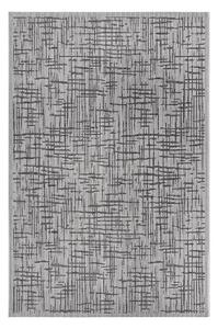 Сив външен килим 63x120 cm Clyde Telu – Hanse Home