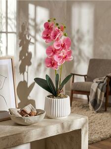 Sinsay - Pianta decorativa in vaso - пастелнорозово