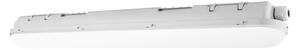 LED лампа Ledvance Eco Class Damp Proof 600, за таван/стена, 21W, 2520 lm, 4000K, сива