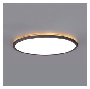 LED баня таванно осветление NIVERA LED/12W/230V IP54 Ø22,5 см черно
