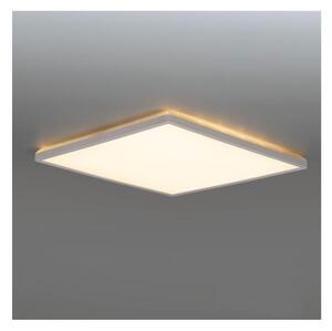 LED баня таванно осветително тяло NIVERA LED/12W/230V IP54 22,5x22,5 см бяло