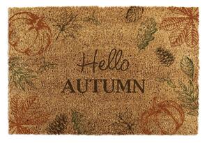 Изтривалка от кокосови влакна 40x60 cm Hello Autumn – Artsy Doormats