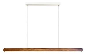DFTP by Nordlux - LED полилей на кабел с възможност за димиране AKENO LED/25W/230V 3000K ясен