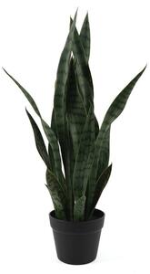 Изсушено растение (височина 66 cm) Sansevieria – PT LIVING