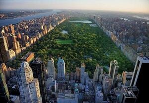 14616 - Central Park NY