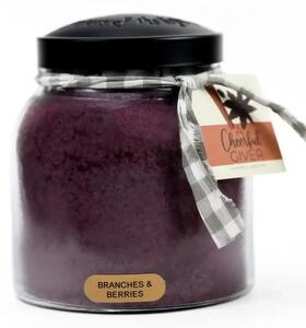 Ароматна свещ Branches & Berries 964 г