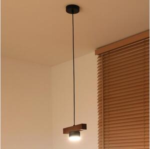 Duolla - Полилей на кабел IRONLINE 1xGX53/3W/230V бор/дъб/черно