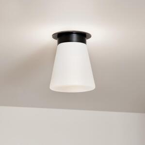 Kichler KL-ALBERS-F-T-BK-Таванно осветително тяло ALBERS 1xE27/40W/230V Ø21,6 см черно