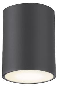 Rabalux Zombor Външни таванни лампи (плафони) IP54 GU10 1x MAX 35W K 7819