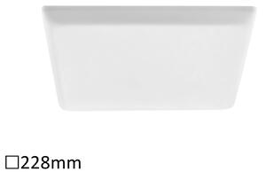 Rabalux Oleg Вградени и повърхностно монтирани лампи IP65/IP20 LED 24W 4000 5374
