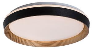 Rabalux Ladan Таванно осветление (плафони) IP20 LED 48W 3000-6500 71308