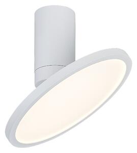 Rabalux Ovidia Висящи осветителни тела IP20 LED 20W 3000 71328